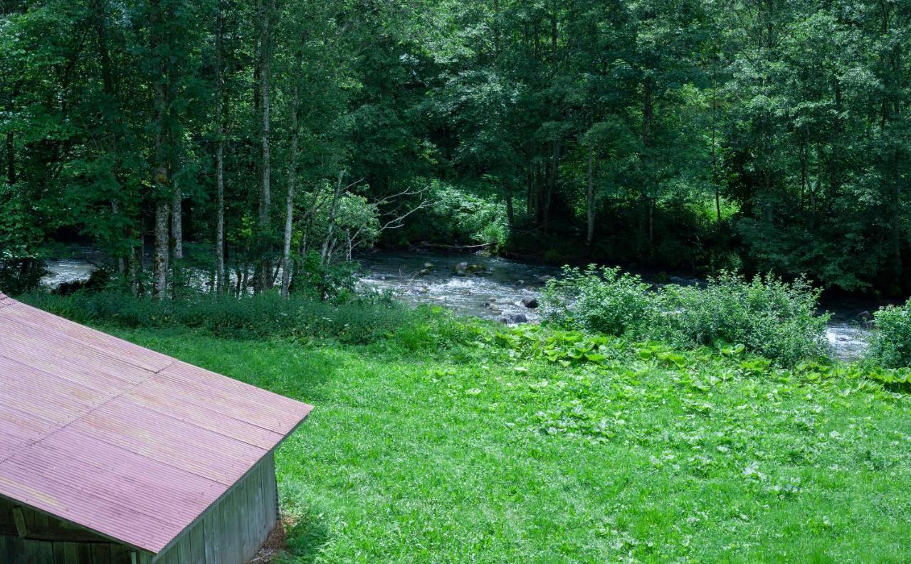 Grand Appartement Proche Gd Bornand Glieres-Val-de-Borne Luaran gambar